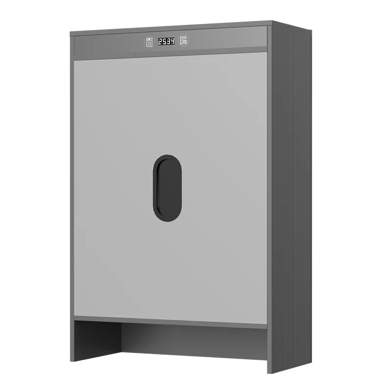 Graphene Electric Heating Timing Drying Shoe Cabinet